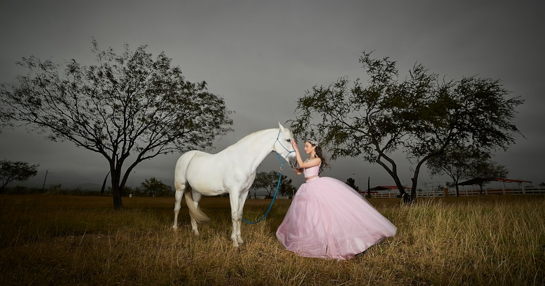 Photo Pink horse